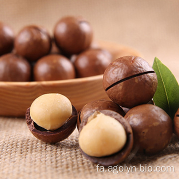 آجیل Macadamia بو داده با طعم شیر